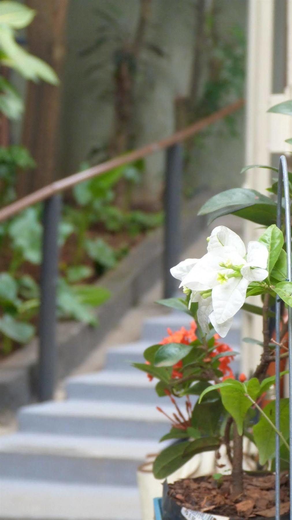 Olah Hostel - Vila Mariana 圣保罗 外观 照片